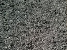 black cedar mulch